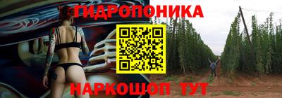 хмурый Бийск